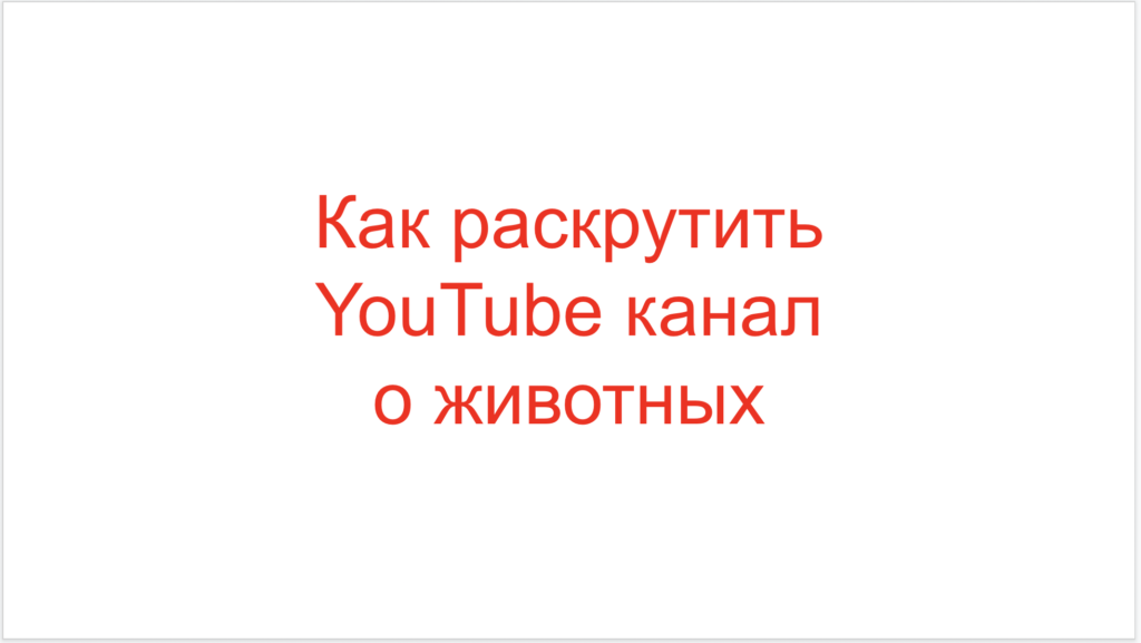 Как раскрутить YouTube канал о животных